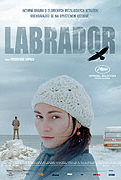 Labrador